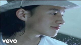 鄧麗君 テレサ・テン【愛人】歌詞 Ai Ren ピンイン付日本語訳｜C-POP